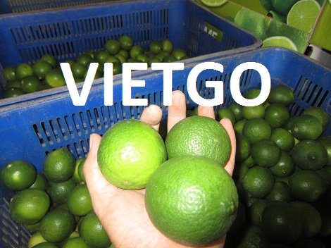 Chanh xanh Vietgo