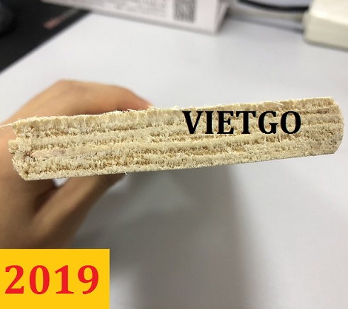 go-dan-vietgo-vietnam- daniel1 go-dan-vietgo-vietnam- daniel1