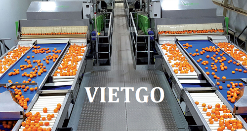Chất tẩy rửa - VIETGO Chất tẩy rửa - VIETGO
