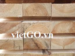Nhà nhập khẩu Yemen cần mua gỗ thông
