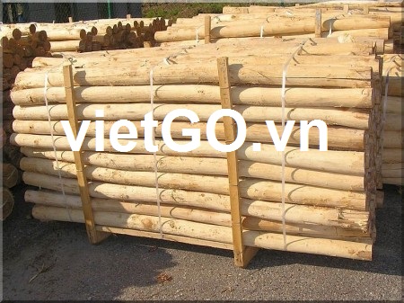 Nhà nhập khẩu Singapore cần mua gỗ keo tròn