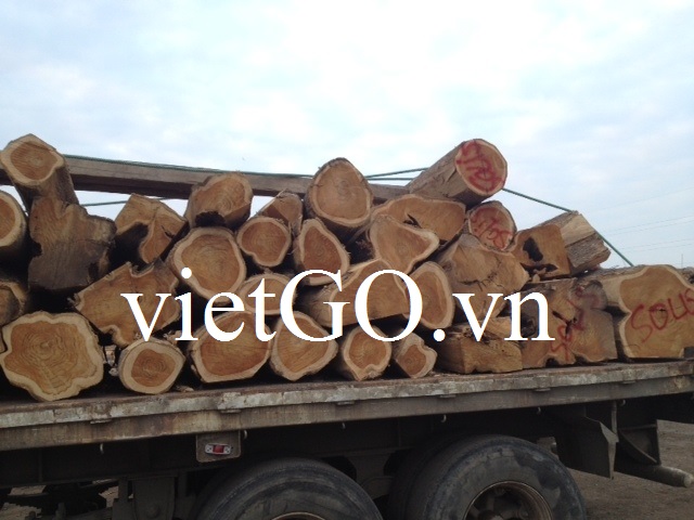 Nhà nhập khẩu Hàn Quốc cần mua gỗ teak tròn