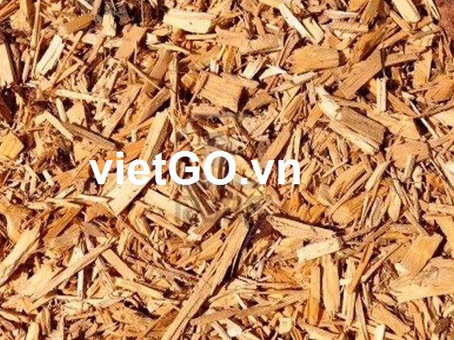 Nhà nhập khẩu Singapore cần mua gỗ vụn bạch đàn