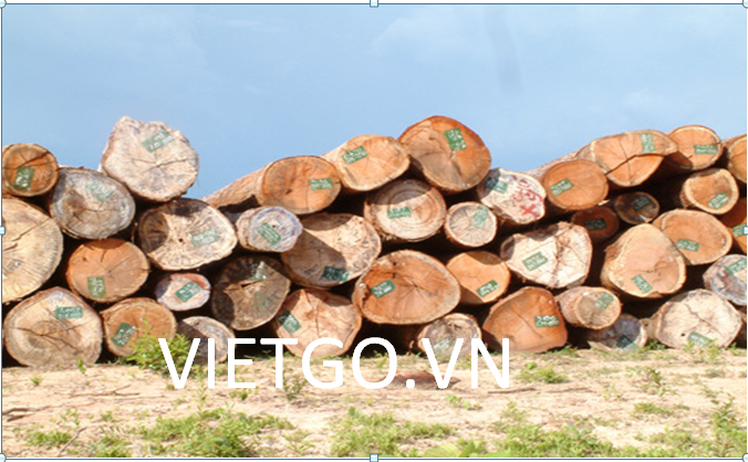 Nhà nhập khẩu Thổ Nhĩ Kỳ cần mua gỗ dán