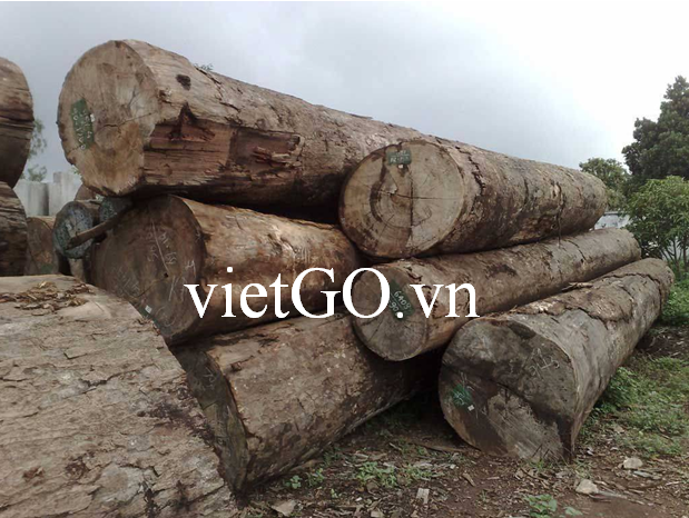 Đối tác Malaysia cần mua gỗ dầu tròn xuất khẩu sang Trung Quốc
