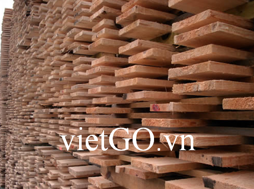 Cơ hội xuất khẩu gỗ thông xẻ sang Ba Lan