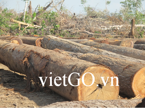 Nhà nhập khẩu Malaysia cần mua gỗ dầu tròn