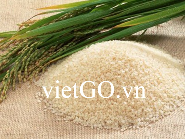 Nhà nhập khẩu Nga cần mua gạo các loại