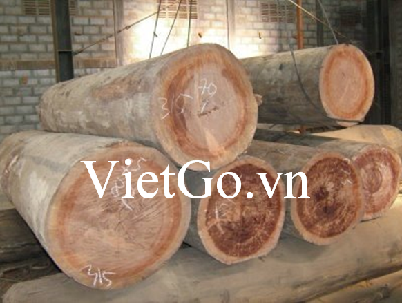 Đối tác Singapore cần nhập khẩu gỗ dầu tròn
