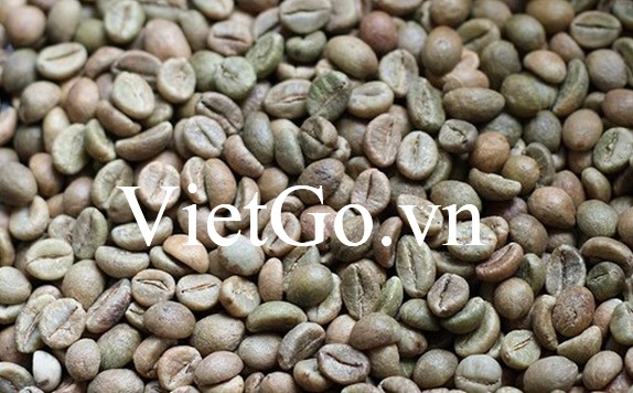 Nhà nhập khẩu Italy cần mua hạt cà phê Robusta và Arabica