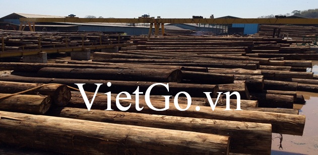 Cơ hội xuất khẩu gỗ thông phế liệu sang Trung Quốc