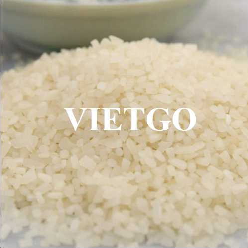 Cơ hội hợp tác xuất khẩu gạo đến thị trường Trung Quốc và Bờ Biển Ngà