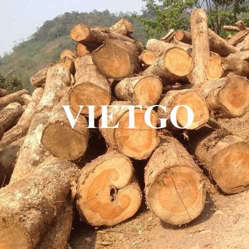 Cơ hội xuất khẩu gỗ teak sang thị trường Ấn Độ