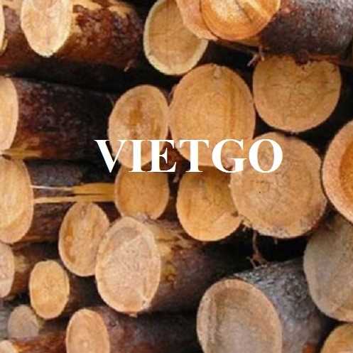 Thương vị xuất khẩu gỗ cao su tròn sang thị trường Hà Lan