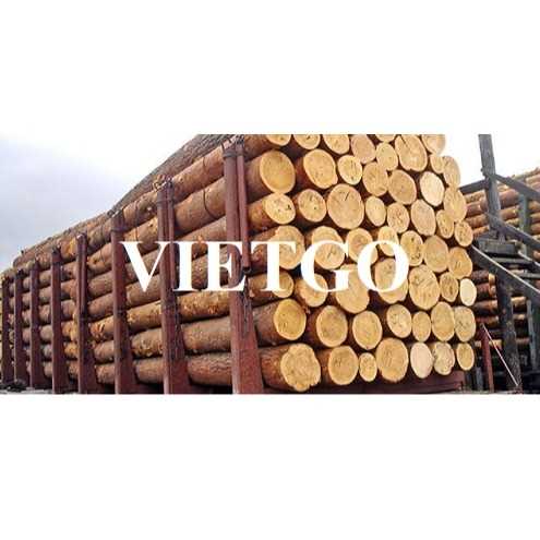 Thương vị xuất khẩu gỗ thông tròn sang thị trường Ý