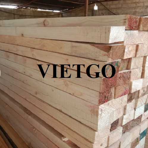 (GẤP) Thương vụ xuất khẩu gỗ thông xẻ sang thị trường Ấn Độ