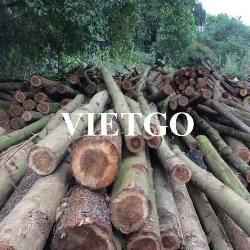 Thương vụ xuất khẩu gỗ keo tròn và gỗ keo xẻ đến thị trường Ấn Độ