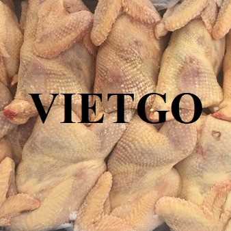 Cơ hội hợp tác xuất khẩu thịt gà cùng vị khách hàng đến từ Ả Rập Xê Út 