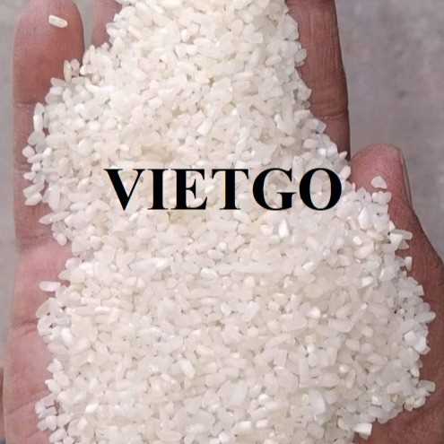 Cơ hội hợp tác xuất khẩu gạo sang thị trường Ấn Độ