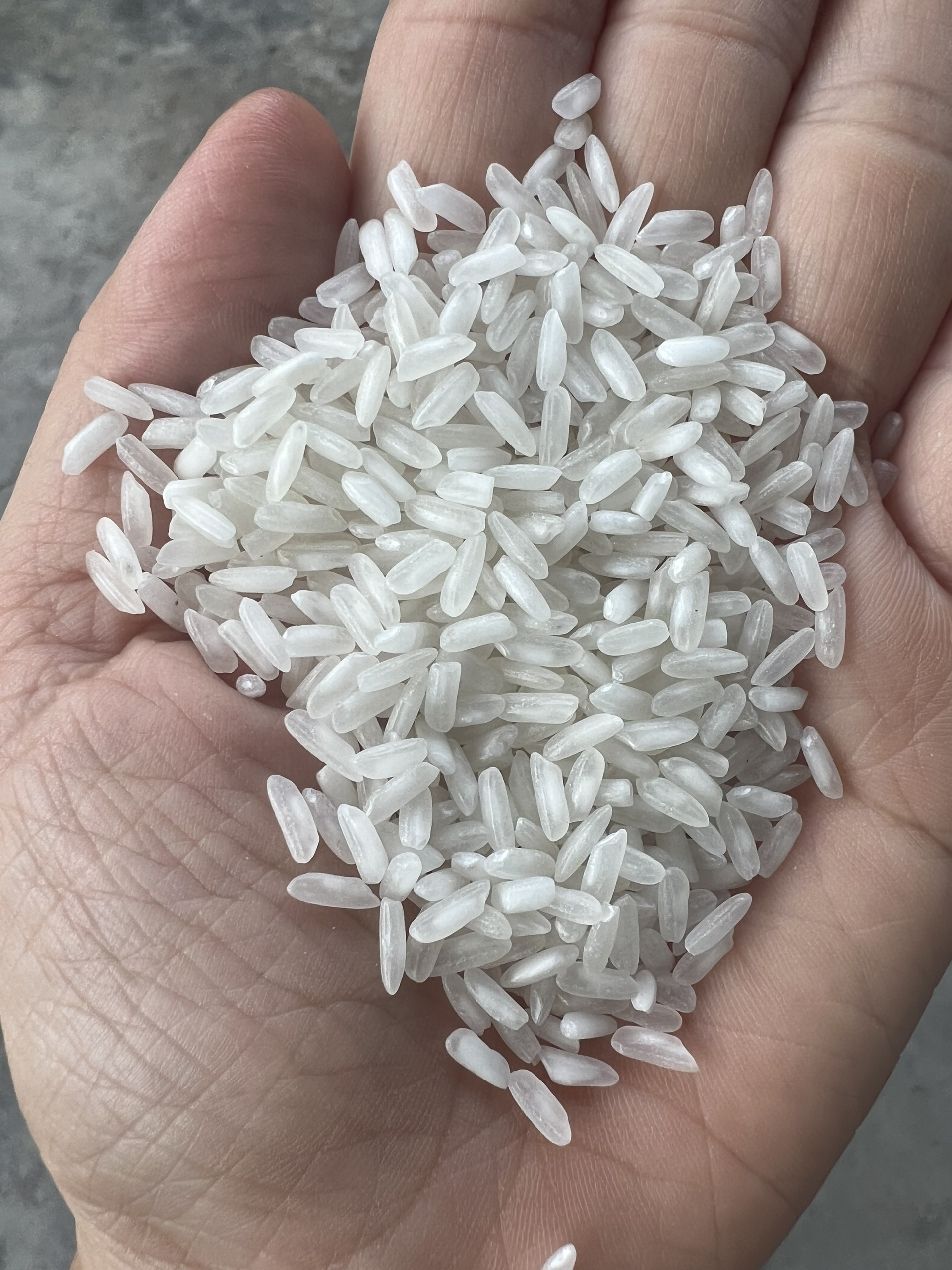 Công Ty TNHH Bình Minh cần tìm cước biển cho mặt hàng gạo sang Mundra, Ấn Độ
