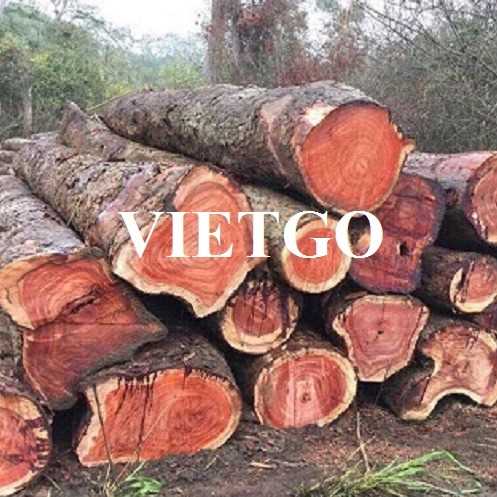 Thương vụ xuất khẩu gỗ hương sang thị trường Ấn Độ 