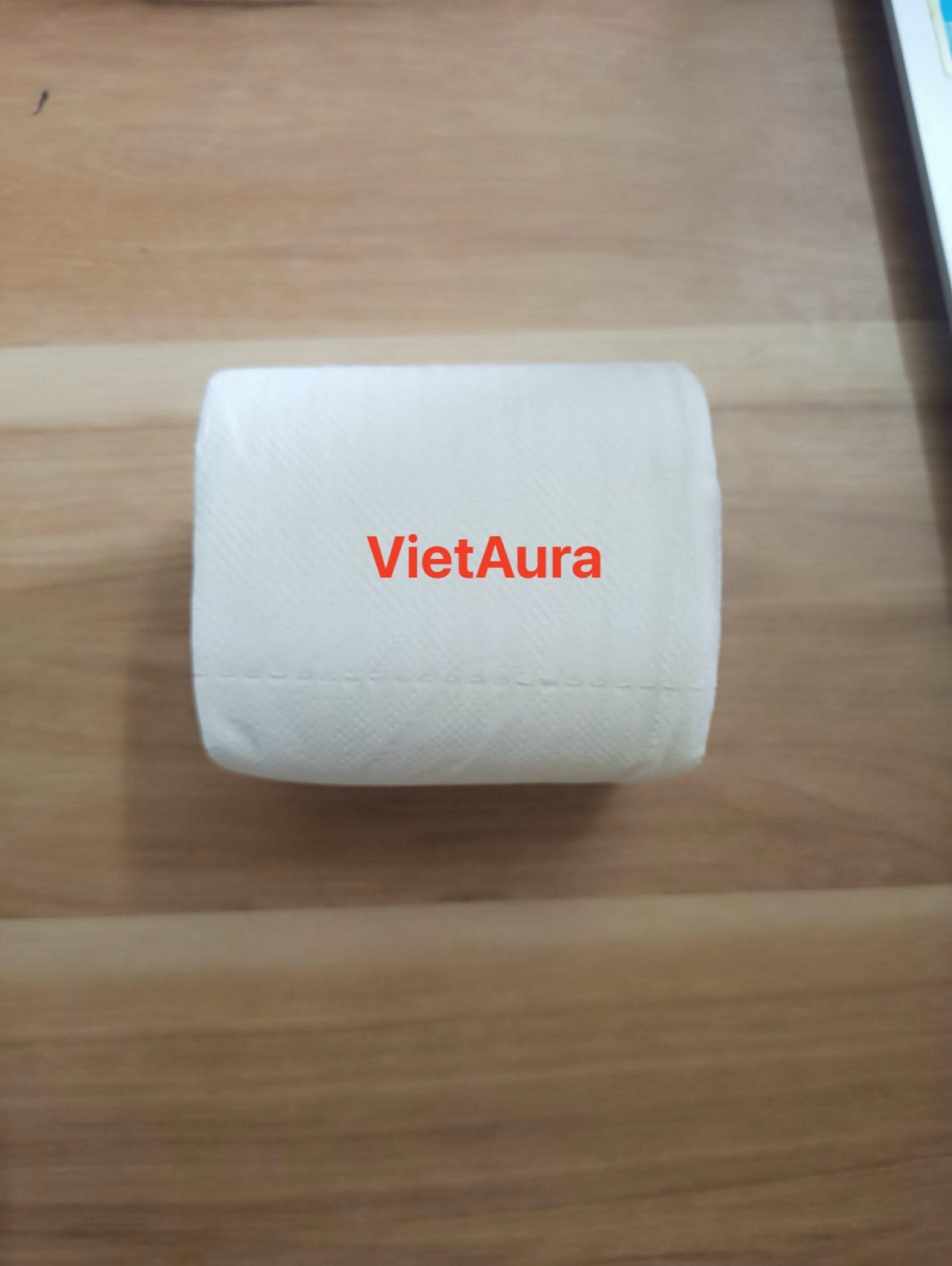 Công ty TNHH VietAura cần tìm vận chuyển đường biển xuất khẩu giấy vệ sinh sang Mỹ