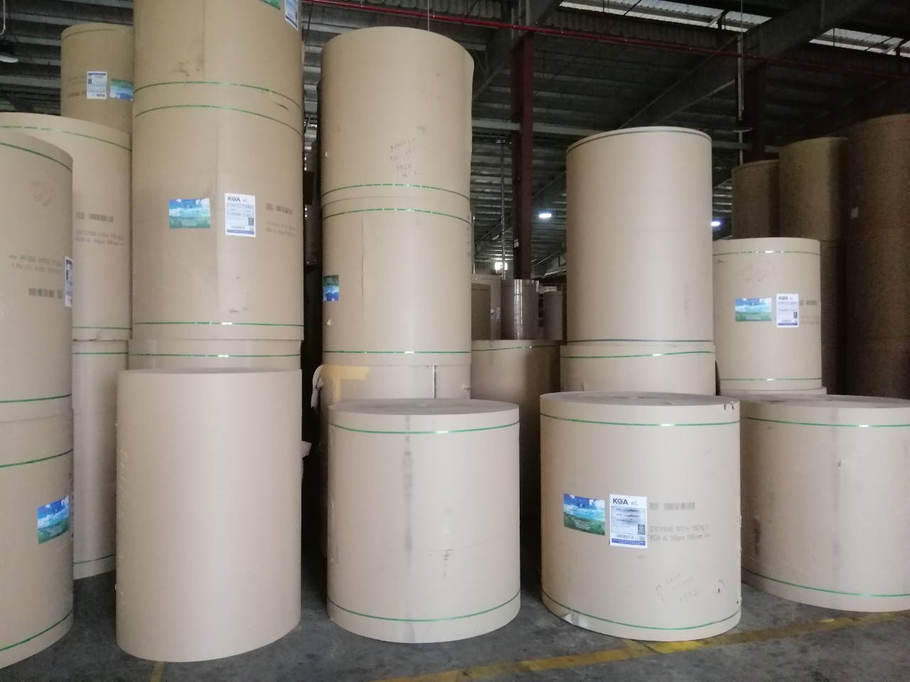 CÔNG TY CỔ PHẦN BAO BÌ CÔNG NGHỆ THUẬN PHÁT cần tìm đơn vị vận tải biển mặt hàng giấy  kraft sang Mexico