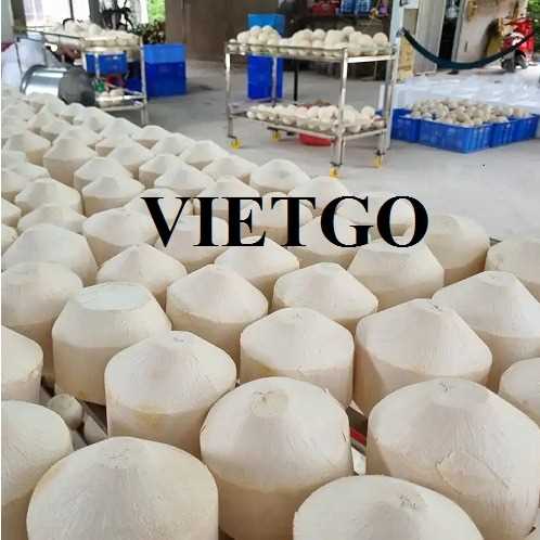 Cơ hội xuất khẩu dừa sang thị trường Trung Quốc