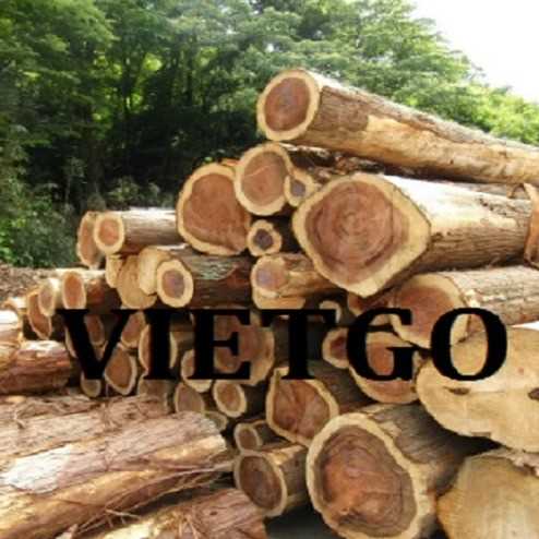 Thương vụ xuất khẩu gỗ teak tròn sang thị trường Ấn Độ 