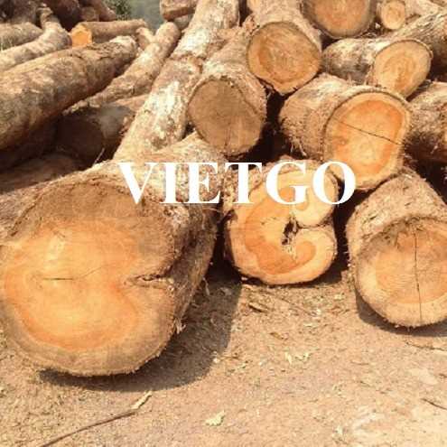 Thương vụ xuất khẩu gỗ teak sang thị trường Ấn Độ 