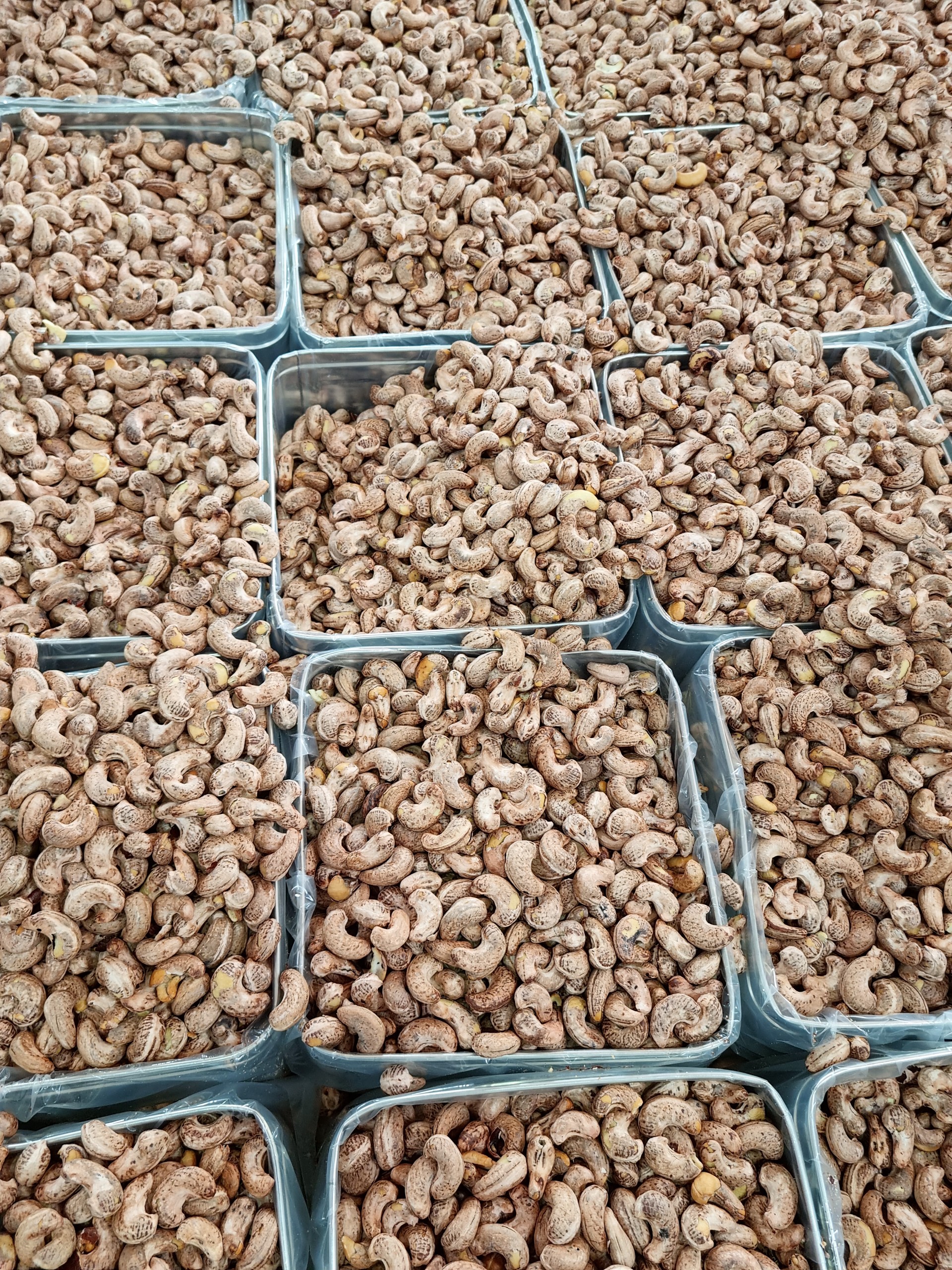 Cần tìm FWD báo giá cước mặt hàng hạt điều đi UAE