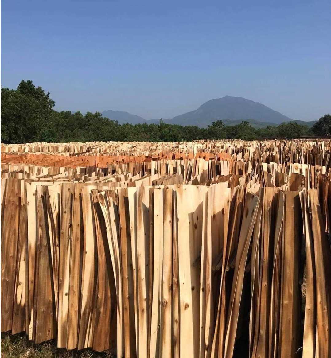 Tìm công ty vận tải  xuất có kinh nghiệm trong vận tải gỗ ván bóc xuất khẩu
