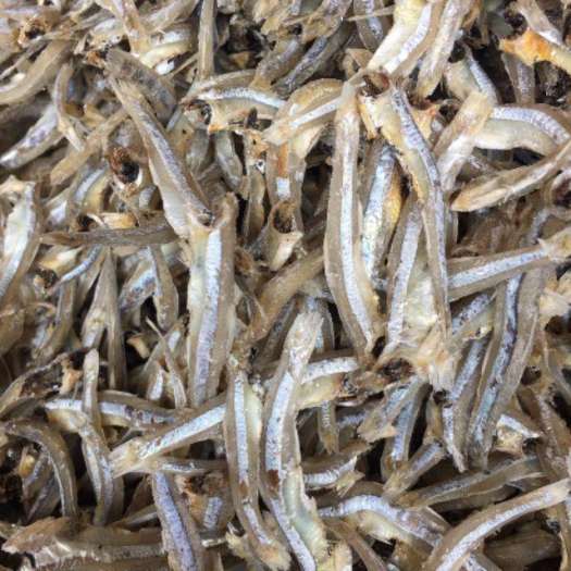 Cần tìm FWD báo giá cước vận tải hàng cá cơm khô đi TQ
