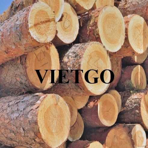 Thương vụ xuất khẩu gỗ thông tròn sang thị trường Ấn Độ