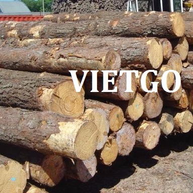 Cơ hội xuất khẩu gỗ thông tròn sang Sri Lanka