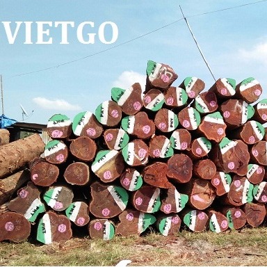 Thương gia từ Malaysia cần mua 5.000m3 gỗ căm tròn để xuất sang thị trường Ấn Độ