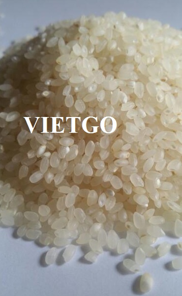 Công ty từ cộng hòa Guinea cần tìm nhà cung cấp 600 tấn gạo Japonica