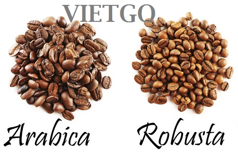 Cơ hội xuất khẩu 1 container 20ft hạt cà phê rang Robusta và Arabica sang Libya