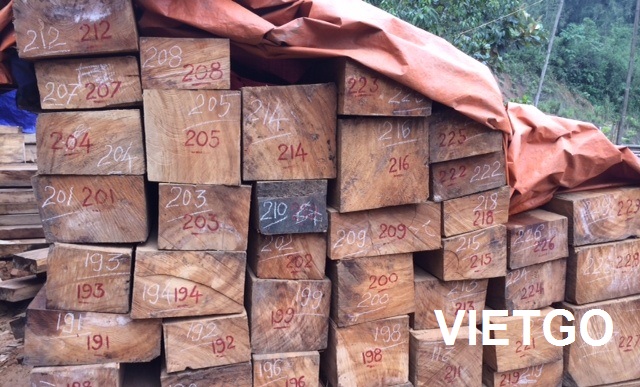 Thương nhân người Myanmar đang cần mua 100 tấn gỗ hương xẻ hộp