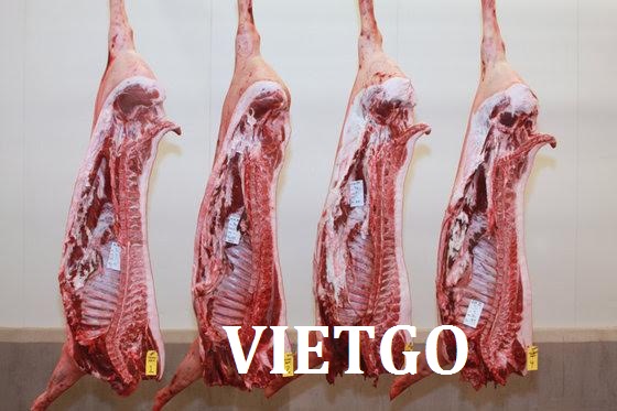 Cơ hội xuất khẩu 500-1000 tấn thịt lợn đông lạnh mỗi tháng sang Hongkong cho hợp đồng cả năm