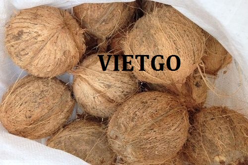 Cơ hội xuất khẩu 1 cont 20ft quả dừa tươi không vỏ sang thị trường Dubai
