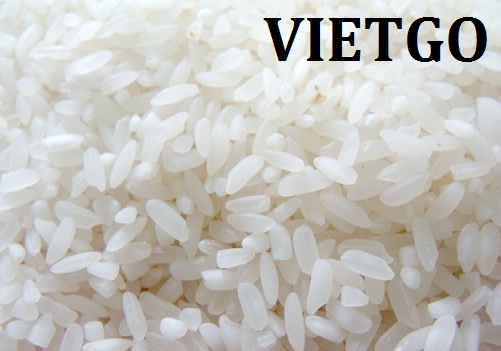 Cơ hội xuất khẩu 5 container 20ft gạo đến từ thương nhân người Burkina Faso