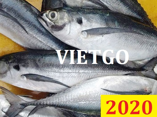 Cơ hội giao thương Đặc Biệt Cả Năm – Vị khách hàng đến từ Bénin đang cần nhập khẩu Cá sòng từ Việt Nam