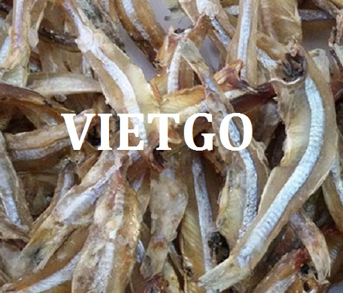 Cơ hội giao thương – Cơ hội xuất khẩu Cá Cơm khô sang thị trường Sri Lanka