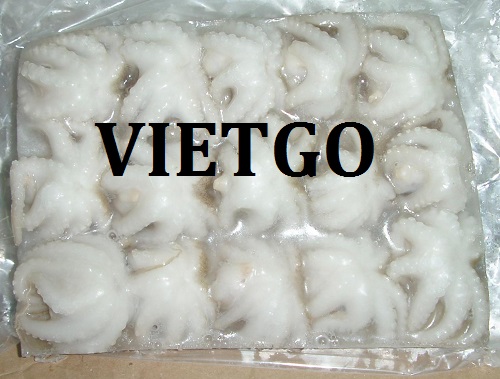 Cơ hội giao thương – Đơn hàng thường xuyên – Doanh nghiệp Chile cần nhập khẩu Bạch tuộc từ thị trường Việt Nam