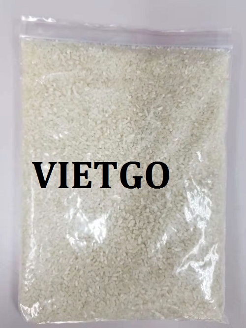 Cơ hội giao thương – Đơn hàng đặc biệt hàng tháng – Cơ hội xuất khẩu gạo tấm sang thị trường Trung Quốc