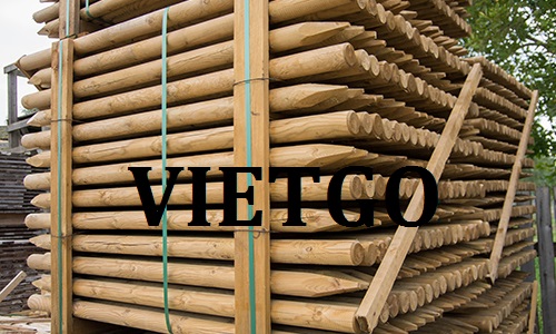 Cơ hội giao thương Đặc biệt – Đơn hàng thường xuyên - Cơ hội xuất khẩu Cọc gỗ sang thị trường Ấn Độ.