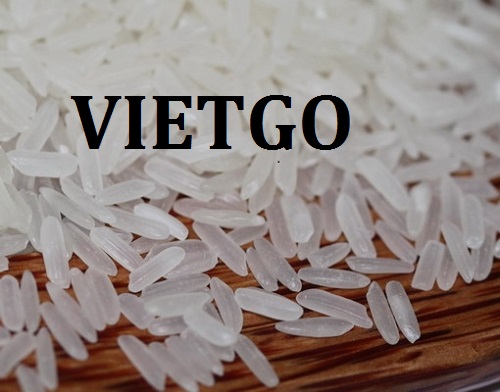 Cơ hội xuất khẩu gạo trắng sang thị trường châu Phi và châu Âu