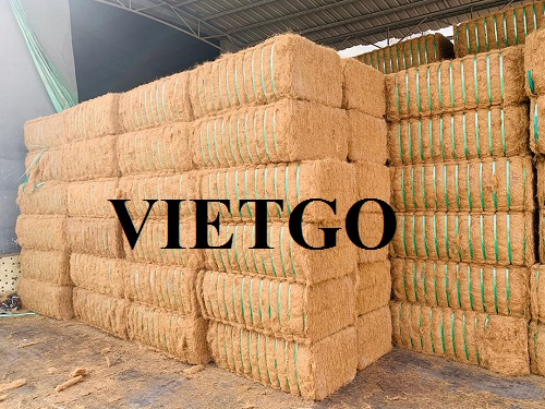 Cơ hội xuất khẩu 100 container 40HC xơ dừa mỗi năm sang thị trường Trung Quốc