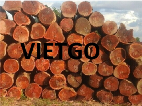 Cơ hội xuất khẩu gỗ dẻ gai và gỗ căm xe tròn sang thị trường Bangladesh
